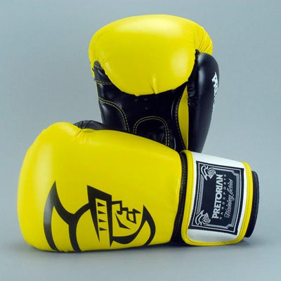 Thai Pair Boxing Punching Gloves