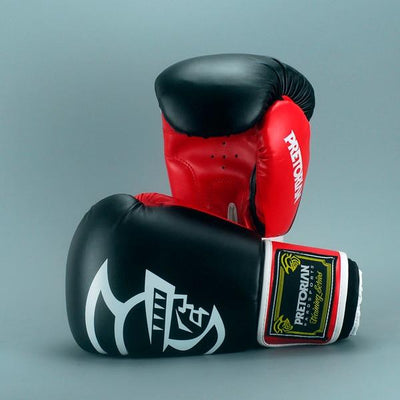 Thai Pair Boxing Punching Gloves