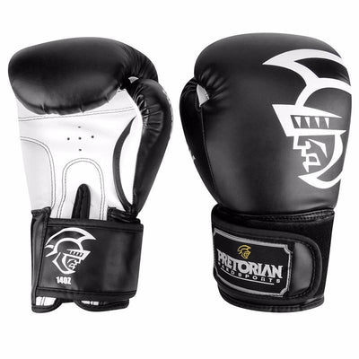 Thai Pair Boxing Punching Gloves