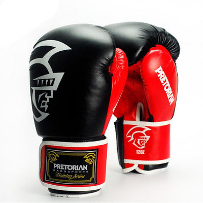 Thai Pair Boxing Punching Gloves