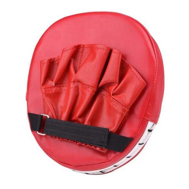 Boxing Training Punch Pad