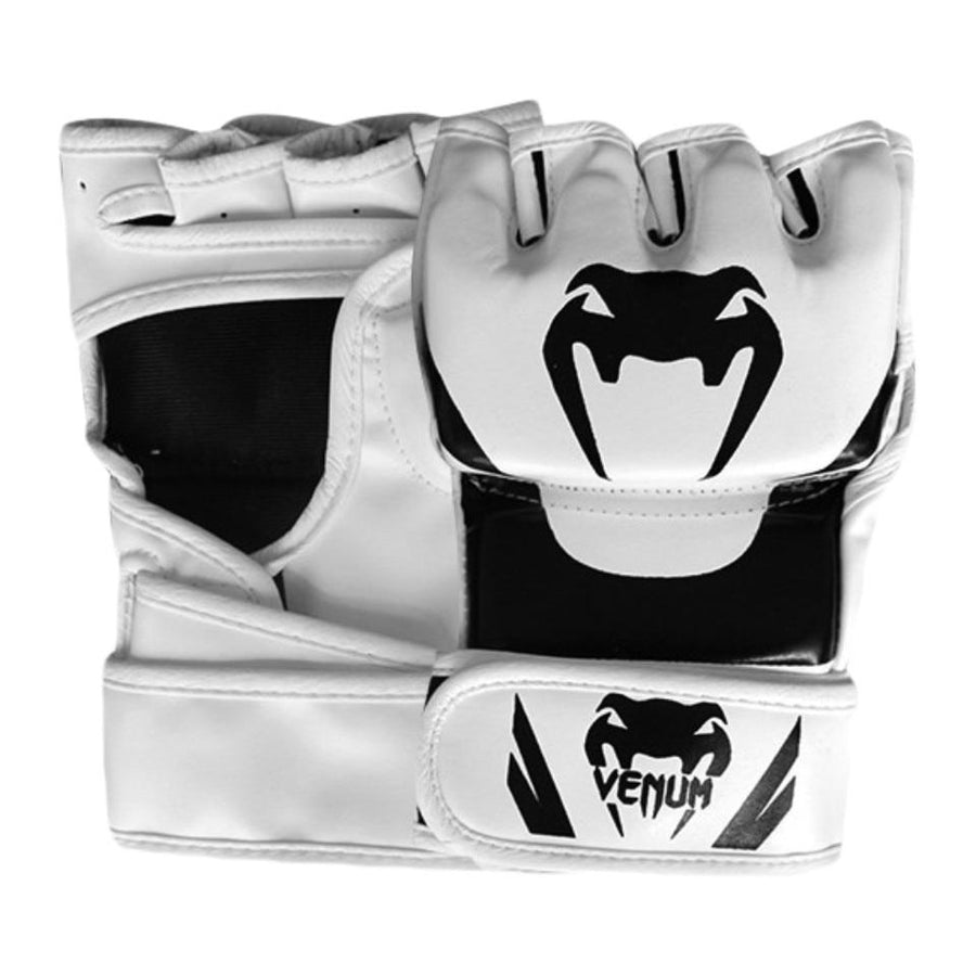 Boxing Sports Leather Gloves